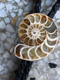 Ammonite Bolo Tie, golden ratio fossil stone western tie