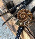 Ammonite Bolo Tie, golden ratio fossil stone western tie