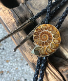 Ammonite Bolo Tie, golden ratio fossil stone western tie