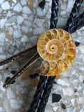 Ammonite Bolo Tie, golden ratio fossil stone western tie