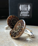 Ammonite Cufflinks, golden ratio men's fossil cufflinks