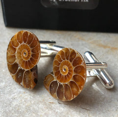 Ammonite Cufflinks, golden ratio men's fossil cufflinks