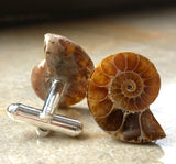 Ammonite Cufflinks, golden ratio men's fossil cufflinks