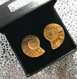 Ammonite Cufflinks, golden ratio men's fossil cufflinks