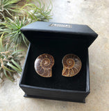 Ammonite Cufflinks, golden ratio men's fossil cufflinks