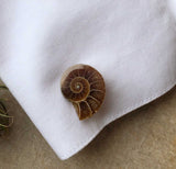 Ammonite Cufflinks, golden ratio men's fossil cufflinks